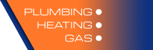 Gas fire servicing Bognor Regis