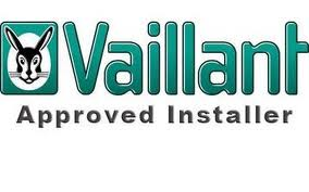 vaillantbig