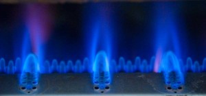 gas fitters in Bognor Regis